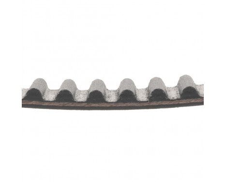 Timing Belt ADC47522 Blue Print, Image 2