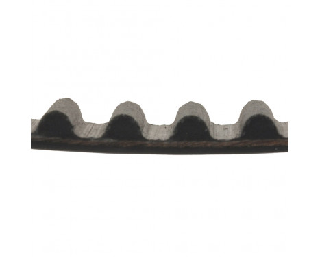 Timing Belt ADC47525 Blue Print, Image 2
