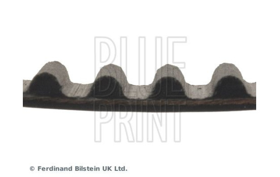 Timing Belt ADC47525 Blue Print, Image 4