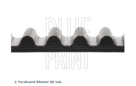 Timing Belt ADC47526 Blue Print, Image 4