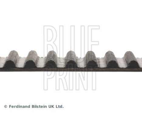 Timing Belt ADC47528 Blue Print, Image 4
