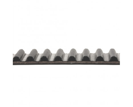 Timing Belt ADC47530 Blue Print, Image 2
