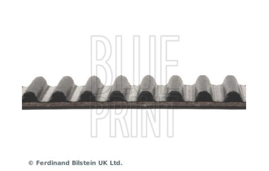 Timing Belt ADC47530 Blue Print, Image 4