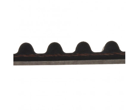 Timing Belt ADC47534 Blue Print, Image 2