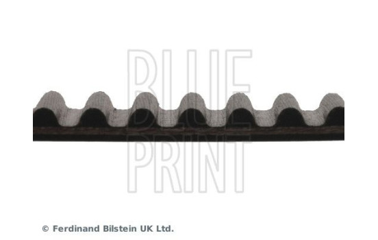 Timing Belt ADC47535 Blue Print, Image 4