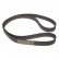 Timing Belt ADC47536 Blue Print