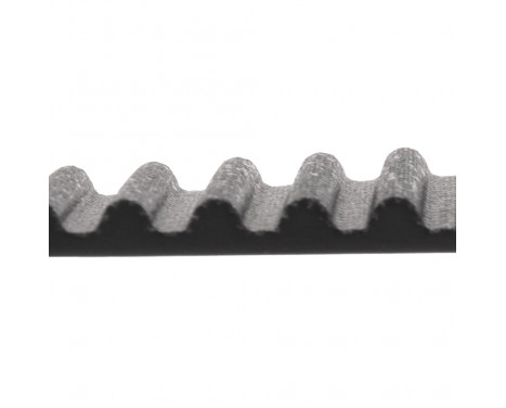 Timing Belt ADC47536 Blue Print, Image 2