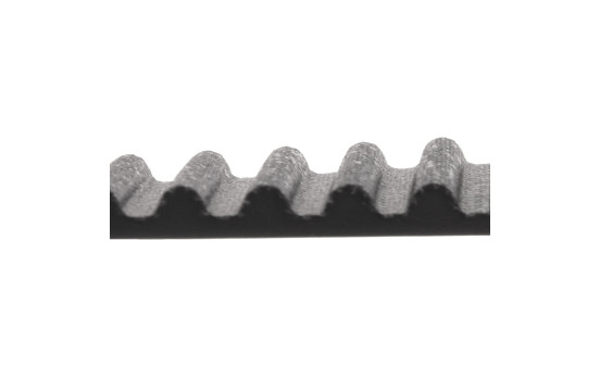 Timing Belt ADC47536 Blue Print, Image 2