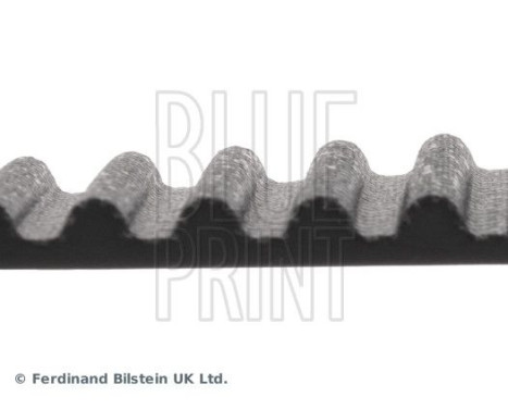 Timing Belt ADC47536 Blue Print, Image 4