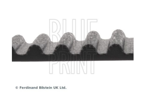 Timing Belt ADC47536 Blue Print, Image 4