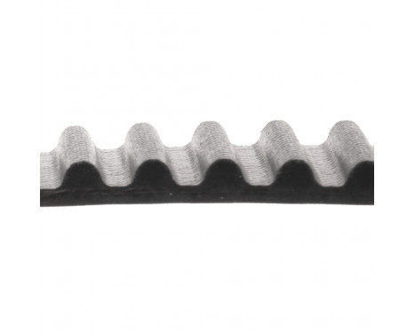 Timing Belt ADC47537 Blue Print, Image 2