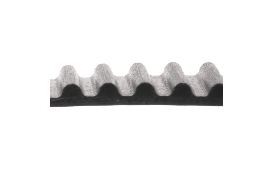 Timing Belt ADC47537 Blue Print, Image 2