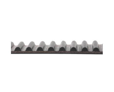 Timing Belt ADC47539 Blue Print, Image 2
