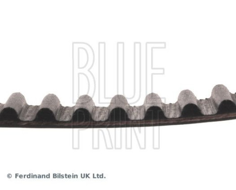 Timing Belt ADC47540 Blue Print, Image 4