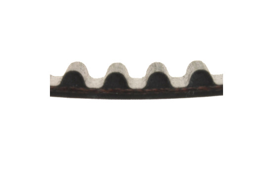Timing Belt ADC47543 Blue Print, Image 2