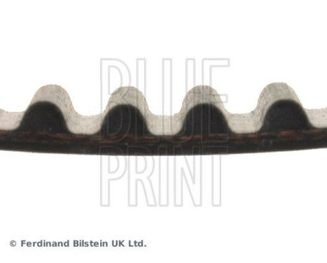 Timing Belt ADC47543 Blue Print, Image 4