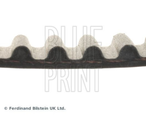 Timing Belt ADC47544 Blue Print, Image 4