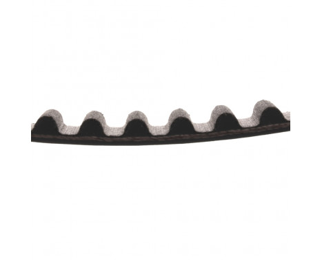 Timing Belt ADC47549 Blue Print, Image 2