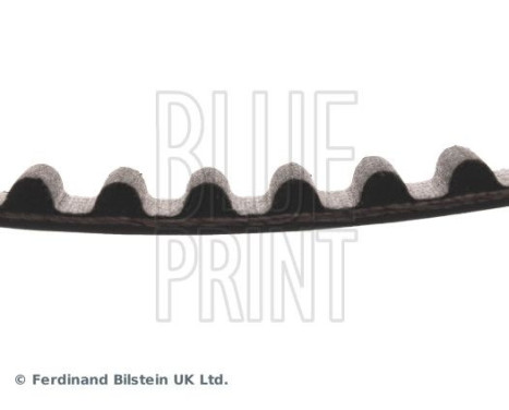 Timing Belt ADC47549 Blue Print, Image 4