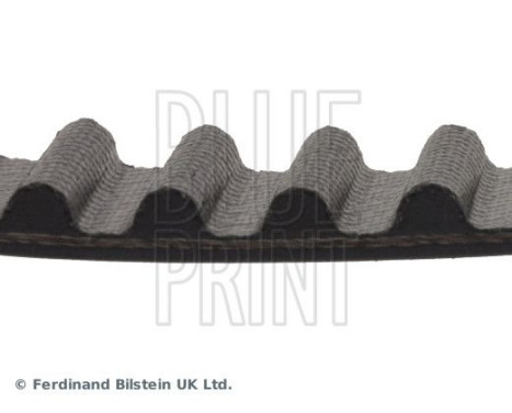 Timing Belt ADC47556 Blue Print, Image 4