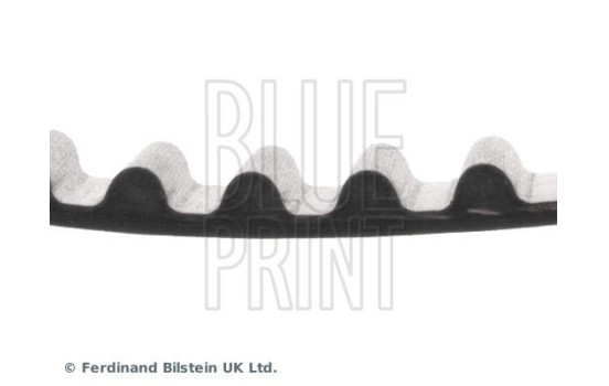 Timing Belt ADD67509 Blue Print, Image 4