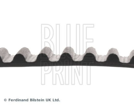 Timing Belt ADD67511 Blue Print, Image 4