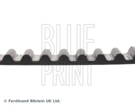 Timing Belt ADD67512 Blue Print, Image 4