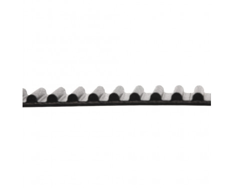 Timing Belt ADD67515 Blue Print, Image 2