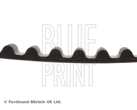 Timing Belt ADG07503 Blue Print, Image 4