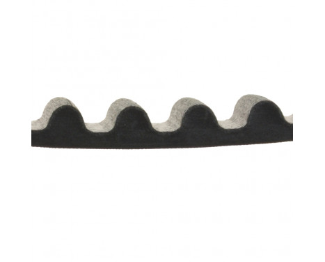 Timing Belt ADG07505 Blue Print, Image 2
