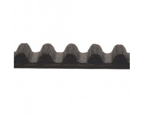 Timing Belt ADG07536 Blue Print, Image 2