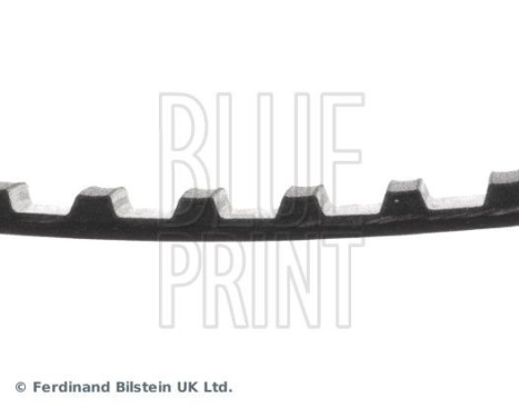 Timing Belt ADH27501 Blue Print, Image 4