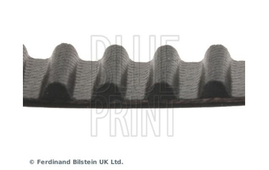 Timing Belt ADH27506 Blue Print, Image 4