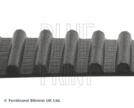 Timing Belt ADH27508 Blue Print, Image 4