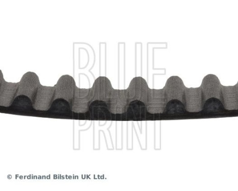 Timing Belt ADH27512 Blue Print, Image 4
