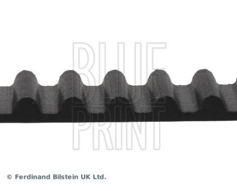 Timing Belt ADH27514 Blue Print, Image 4