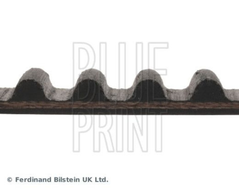 Timing Belt ADH27517 Blue Print, Image 4