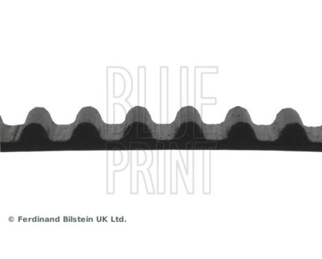 Timing Belt ADH27518 Blue Print, Image 4