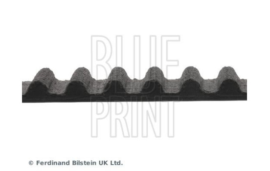 Timing Belt ADH27519 Blue Print, Image 4