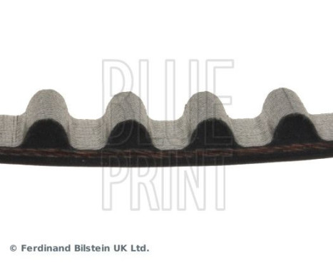 Timing Belt ADH27520 Blue Print, Image 4