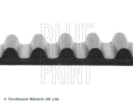 Timing Belt ADH27527 Blue Print, Image 4