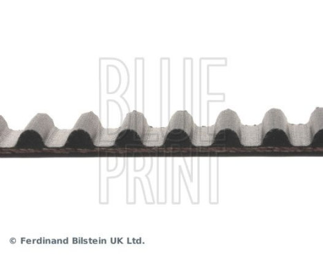 Timing Belt ADH27531 Blue Print, Image 4