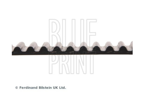 Timing Belt ADH27532 Blue Print, Image 4