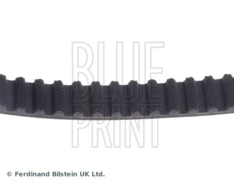 Timing Belt ADJ137502 Blue Print, Image 4