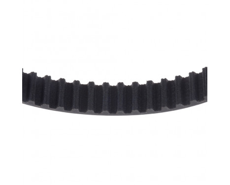 Timing Belt ADJ137505 Blue Print, Image 2