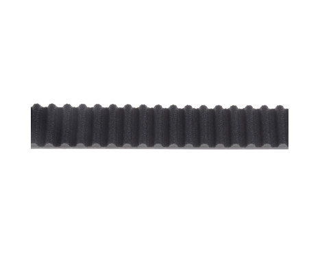 Timing Belt ADJ137506 Blue Print, Image 2