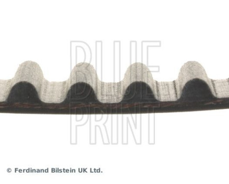 Timing Belt ADK87502 Blue Print, Image 4