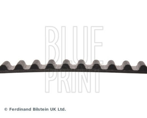 Timing Belt ADK87503 Blue Print, Image 4