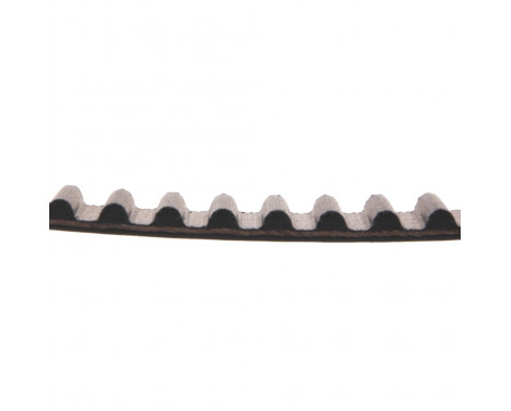 Timing Belt ADK87505 Blue Print, Image 2