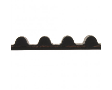 Timing Belt ADK87507 Blue Print, Image 2